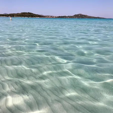 Mar Di Sardegna *